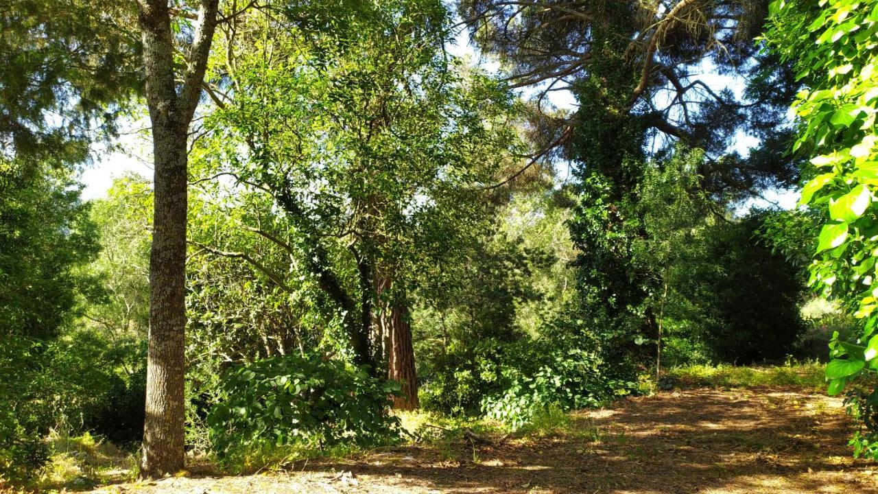 Villa Casal Dos Zimbros Corticos Esterno foto