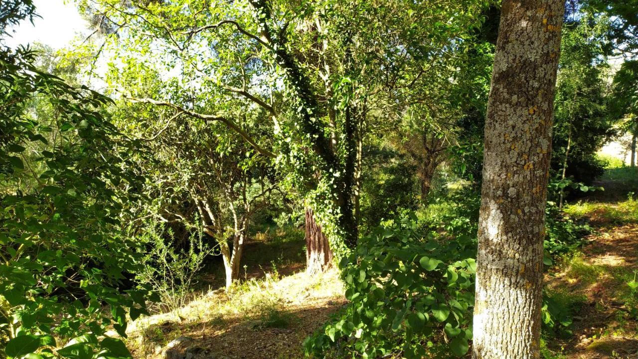 Villa Casal Dos Zimbros Corticos Esterno foto